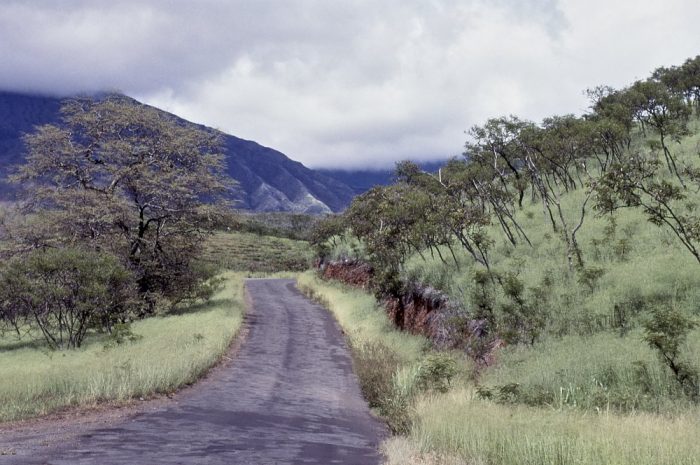 Horizontal landscape of the backcountry road to Hana on the island of Maui, Hawaii. We look down an empty, deep lavender gray, two-lane country road which extends across the bottom left side of the image. The road curves to the right around a bend several hundred feet away in the center. Dark blue mountains, tinted purple, cut across the horizon—their ridgelines reach up into heavy gray overcast clouds. The mountains dip down slightly where the road turns around the bend, forming a wide V-shaped skyline. Tall pale mint-colored grass meadows line both sides of the road. On the right side of the photo, a steep hill, covered in multiple shades of pastel green grass, climbs up from the road into the cloudy sky. Several deciduous trees have grown through the thick grass carpet. The scene is one of quiet solitude awash in soft grey, green, and purplish-blue hues.