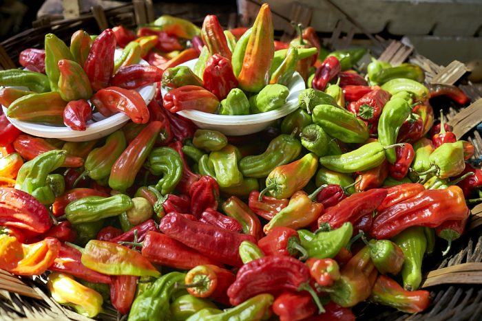 A 3-foot wide, shallow basket, made of out thick twigs, shows off 100 or more colorful Mexican peppers that fill the screen with green, yellow, orange, and bright red. Two small, white plastic bowls sit atop the stack of peppers with additional peppers arranged into a design like an opening flower—some leaning over the side of the bowl, and some pointing upwards.