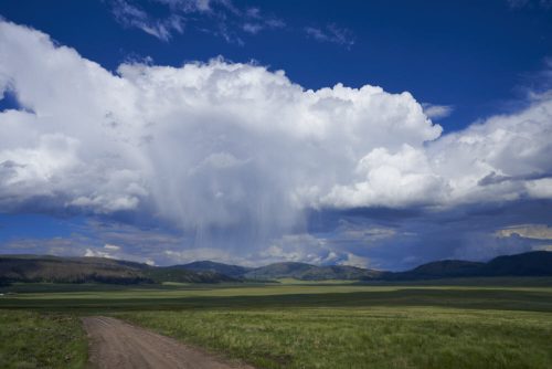 North America, United States, New Mexico, Valles Caldera National Preserve. 13-mile-wide depression of meadows and streams resulting from a volcanic eruption 1.25-million years ago.